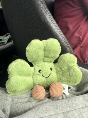 Amuseables Siofra Shamrock 🇮🇪 Jellycat photo