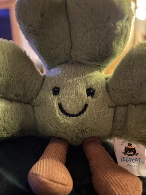 Amuseables Siofra Shamrock 🇮🇪 Jellycat photo