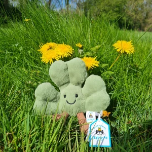 Amuseables Siofra Shamrock 🇮🇪 Jellycat photo