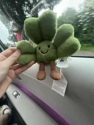 Amuseables Siofra Shamrock 🇮🇪 Jellycat | Jelly Journal