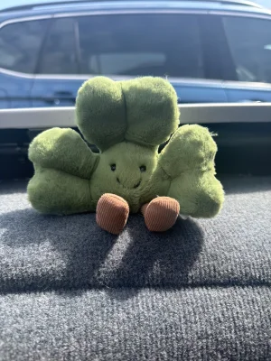 Amuseables Siofra Shamrock 🇮🇪 Jellycat | Jelly Journal