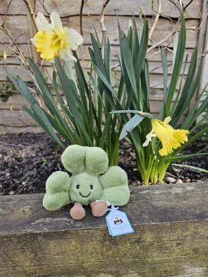 Amuseables Siofra Shamrock 🇮🇪 Jellycat photo uploaded by Ilovejelly