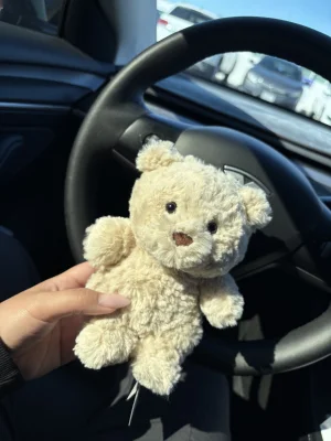 Bartholomew Bear Junior Jellycat photo uploaded by jelly20