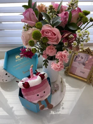 A photo of Cheryl Cherry Cake Jellycat taken by kimmysdreams