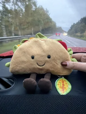 Amuseables Taco Jellycat photo