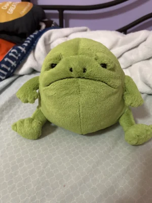A photo of Ricky Rain Frog Jellycat taken by Brook_21614