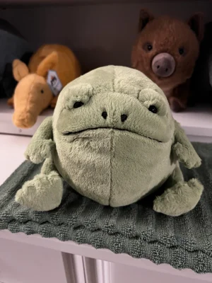 A photo of Ricky Rain Frog Jellycat taken by Micah_Mooks102