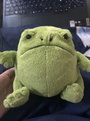 A photo of Ricky Rain Frog Jellycat taken by aididaidi