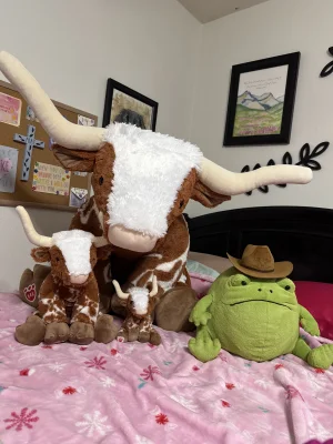 A photo of Ricky Rain Frog Jellycat taken by Caseyrob