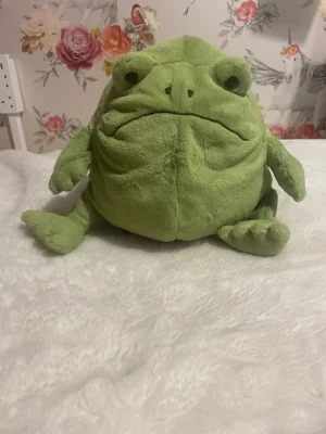 A photo of Ricky Rain Frog Jellycat taken by Melly_Darbs