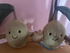 A photo of Amuseables Pair of Olives Jellycat taken by Hedgehogfox_532