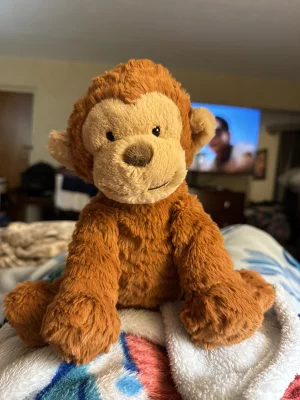 Fuddlewuddle Monkey Jellycat | Jelly Journal