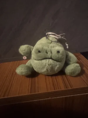 Ricky Rain Frog Bag Charm Jellycat photo uploaded by Stilley