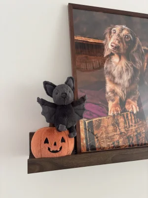 Ooky Bat Jellycat photo uploaded by the_jelly_jungle