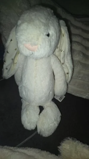 Bashful Twinkle Bunny - Medium Jellycat | Jelly Journal