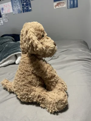 Fuddlewuddle Puppy - Medium Jellycat photo uploaded by teddybutch
