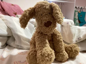 Fuddlewuddle Puppy - Medium Jellycat | Jelly Journal