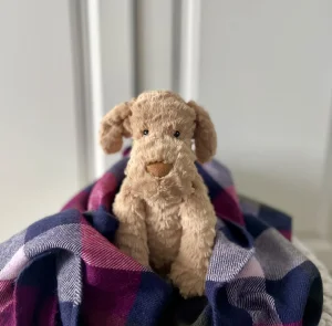Fuddlewuddle Puppy - Medium Jellycat | Jelly Journal