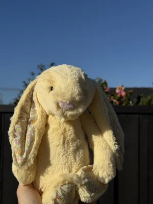 Blossom Lemon Bunny - Medium Jellycat | Jelly Journal