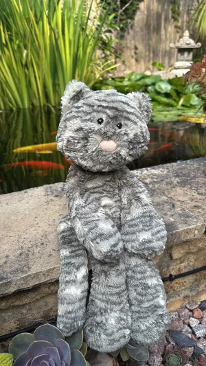 A photo of Merryday Cat Jellycat taken by Jelly_Journey