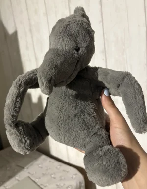 A photo of Fossilly Pterodactyl Jellycat taken by Natashajade