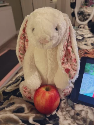 Blossom Cream Bunny 'Berry' - Medium Jellycat | Jelly Journal