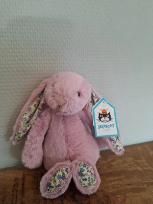  Medium Blossom Tulip Bunny うさぎ Blossom Tulip Bunny with Personalized Cream Jumper - Official Jellycat