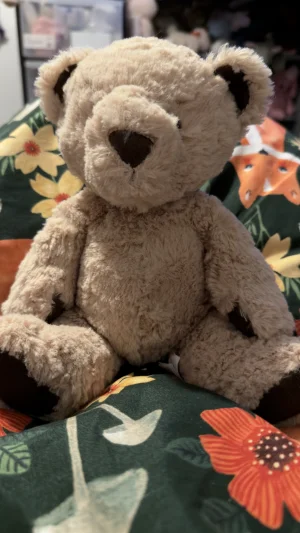 Edward Bear - Small Jellycat photo