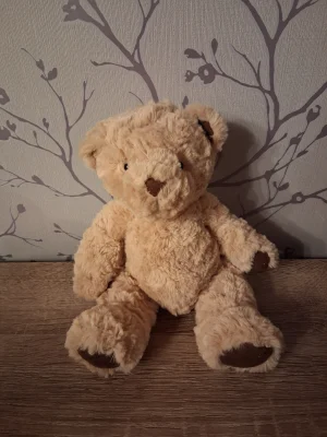 Edward Bear - Small Jellycat photo