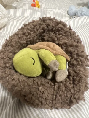 Hibernating Tortoise Jellycat photo