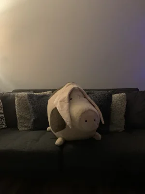 A photo of Higgledy Piggledy Old Spot - Really Big Jellycat taken by Higgypig