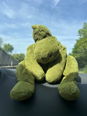 A photo of Rumpletum Dino Jellycat taken by Seljamilmar