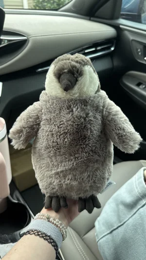 Percy Penguin - Small Jellycat | Jelly Journal
