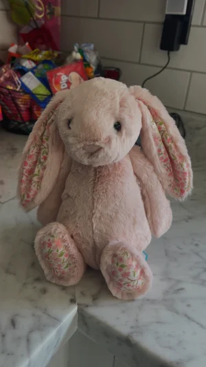 Blossom Blush Bunny 'Cherry' - Medium Jellycat | Jelly Journal