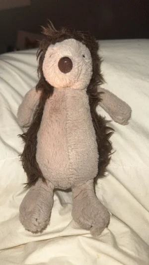 Bashful Hedgehog Jellycat photo