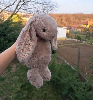 Blossom Bea Beige Bunny Jellycat | Jelly Journal