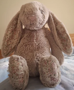 A photo of Blossom Bea Beige Bunny Jellycat taken by poppingcandy
