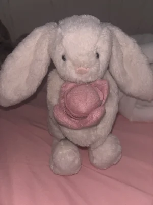 新品　Bashful Peony Bunny Small  Bashful Peony Bunny Small by Jellycat | Vancouver Kidsbooks