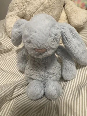 Bashful Blue Bunny - Medium Jellycat photo