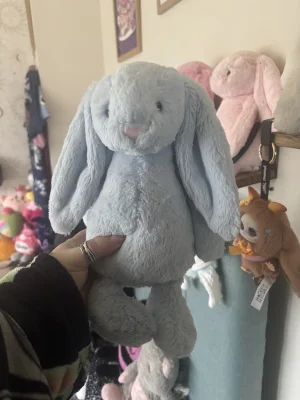 Bashful Blue Bunny - Medium Jellycat photo uploaded by Slanelivhill