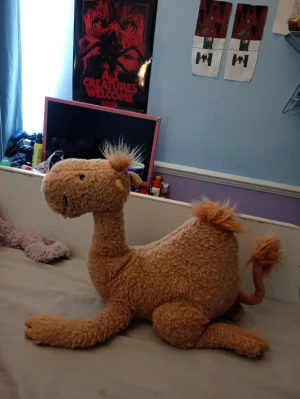 Richie Dromedary Jellycat photo