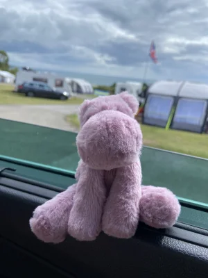Smudge Hippo - Tiny Jellycat photo