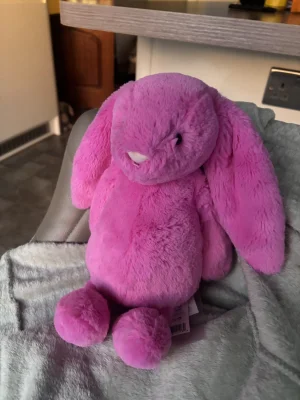 Bashful Hot Pink Bunny - Medium Jellycat | Jelly Journal