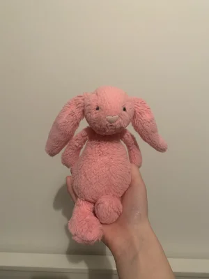 Bashful Hot Pink Bunny - Small Jellycat | Jelly Journal