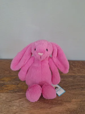 Bashful Hot Pink Bunny - Small Jellycat | Jelly Journal