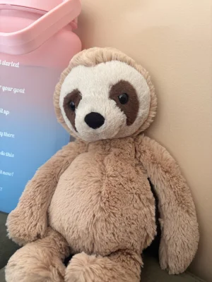 Bashful Sloth Jellycat photo