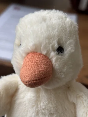 A photo of Nippit Duck Jellycat taken by the_jelly_jungle