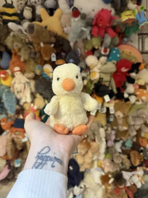 A photo of Nippit Duck Jellycat taken by Lollysjellycats