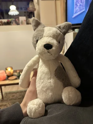 Bashful Terrier Jellycat | Jelly Journal