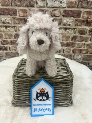 A photo of Georgiana Poodle Jellycat taken by Raychandthejellies